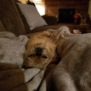 Meet your Posher, Nancy